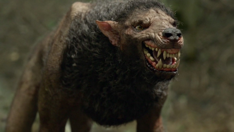 Illustration for article titled Being Human's season premiere goes crazy dark with a Reverse Werewolf
